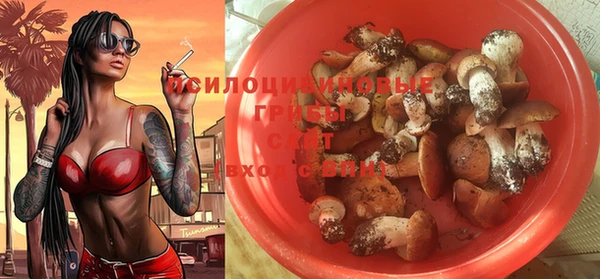 прущий лед Алексеевка