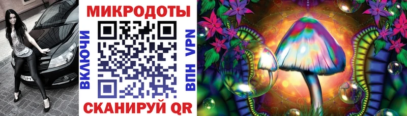 Псилоцибиновые грибы Cubensis  Задонск 